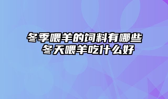 冬季喂羊的饲料有哪些 冬天喂羊吃什么好