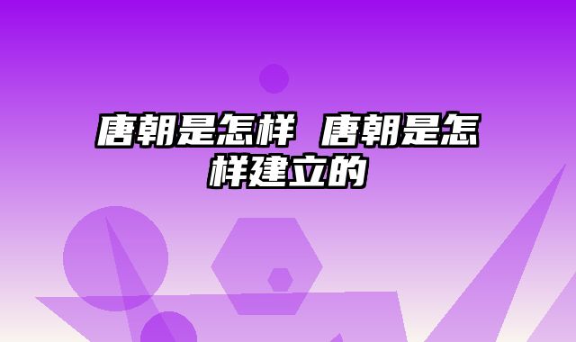 唐朝是怎样 唐朝是怎样建立的