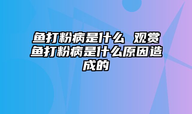 鱼打粉病是什么 观赏鱼打粉病是什么原因造成的