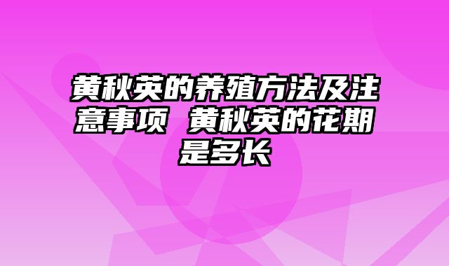 黄秋英的养殖方法及注意事项 黄秋英的花期是多长