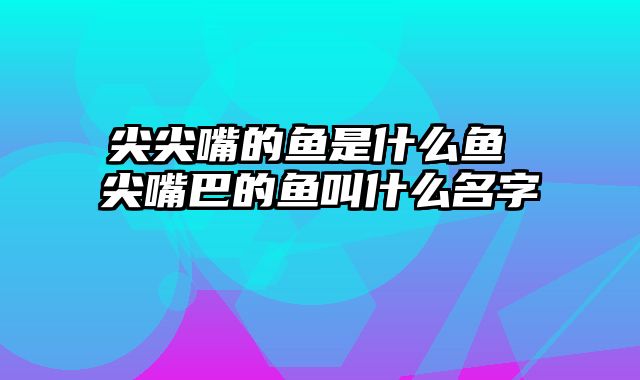 尖尖嘴的鱼是什么鱼 尖嘴巴的鱼叫什么名字