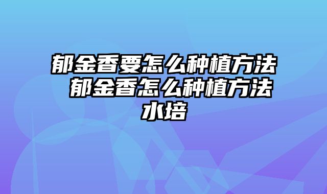 郁金香要怎么种植方法 郁金香怎么种植方法水培