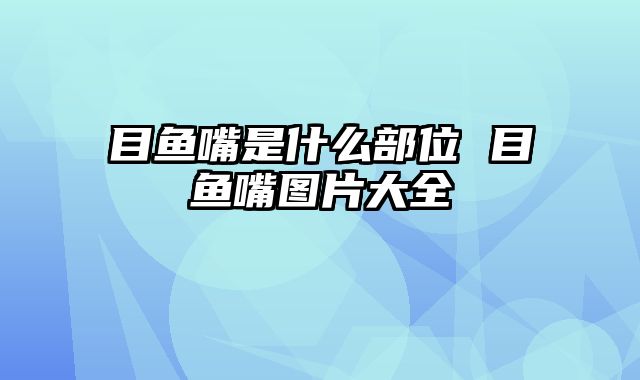 目鱼嘴是什么部位 目鱼嘴图片大全