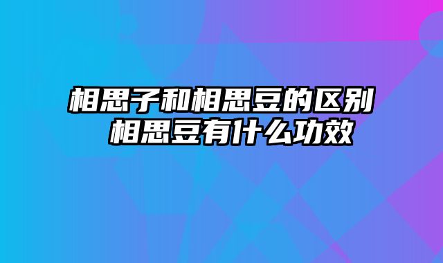 相思子和相思豆的区别 相思豆有什么功效