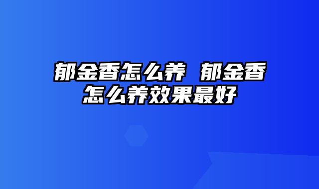 郁金香怎么养 郁金香怎么养效果最好