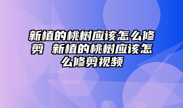 新植的桃树应该怎么修剪 新植的桃树应该怎么修剪视频