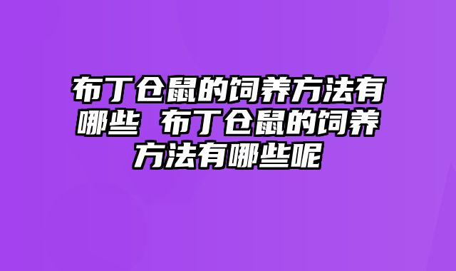 布丁仓鼠的饲养方法有哪些 布丁仓鼠的饲养方法有哪些呢