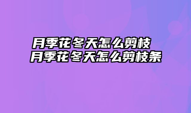 月季花冬天怎么剪枝 月季花冬天怎么剪枝条