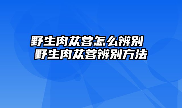 野生肉苁蓉怎么辨别 野生肉苁蓉辨别方法