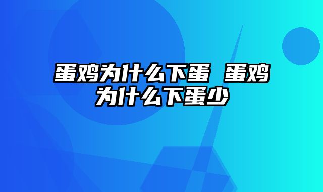 蛋鸡为什么下蛋 蛋鸡为什么下蛋少