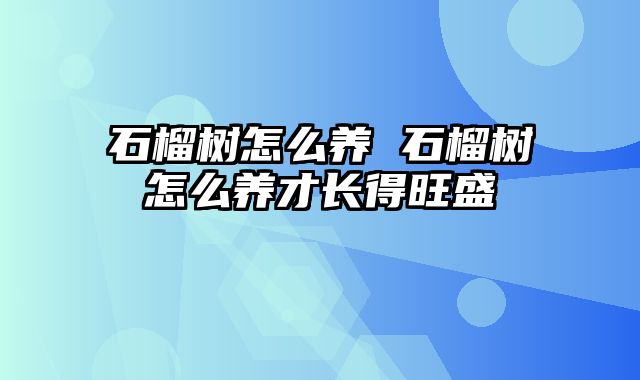 石榴树怎么养 石榴树怎么养才长得旺盛