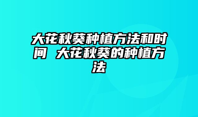 大花秋葵种植方法和时间 大花秋葵的种植方法