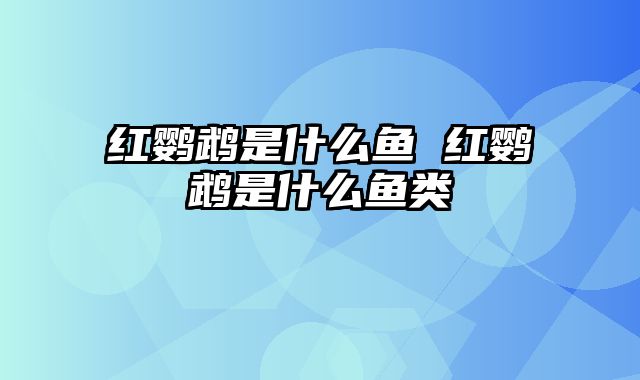 红鹦鹉是什么鱼 红鹦鹉是什么鱼类