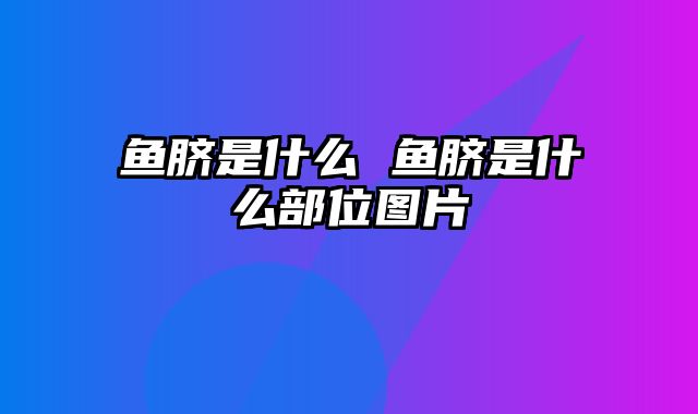 鱼脐是什么 鱼脐是什么部位图片