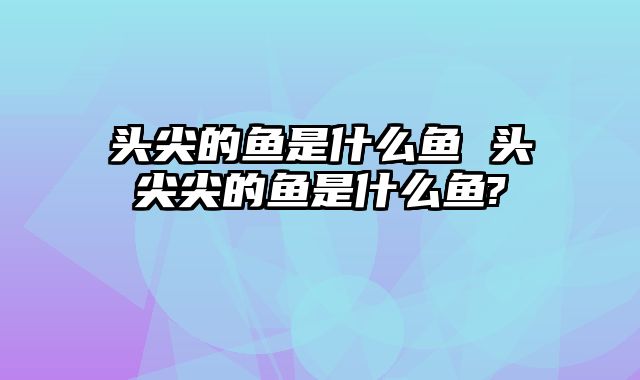 头尖的鱼是什么鱼 头尖尖的鱼是什么鱼?