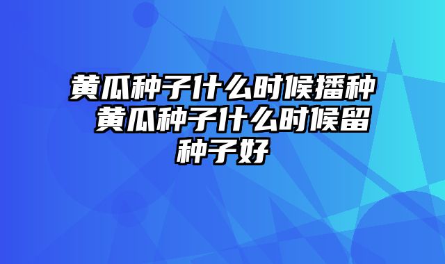 黄瓜种子什么时候播种 黄瓜种子什么时候留种子好