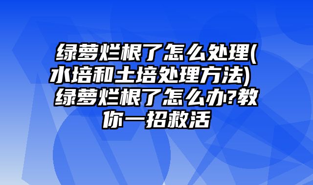 绿萝烂根了怎么处理(水培和土培处理方法) 绿萝烂根了怎么办?教你一招救活