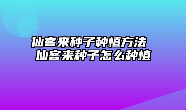 仙客来种子种植方法 仙客来种子怎么种植