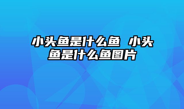 小头鱼是什么鱼 小头鱼是什么鱼图片