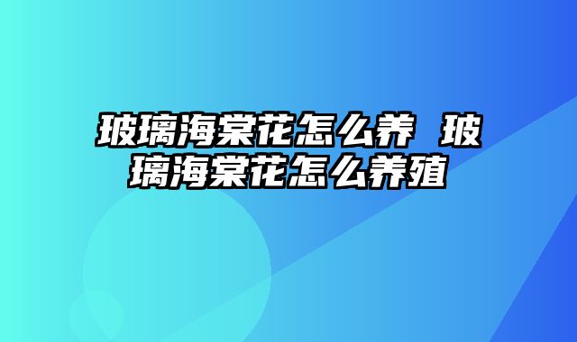 玻璃海棠花怎么养 玻璃海棠花怎么养殖