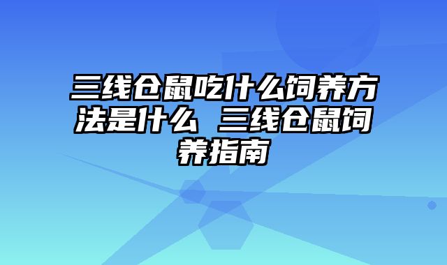 三线仓鼠吃什么饲养方法是什么 三线仓鼠饲养指南