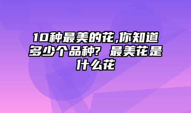 10种最美的花,你知道多少个品种? 最美花是什么花