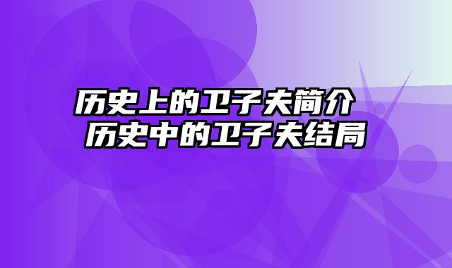 历史上的卫子夫简介 历史中的卫子夫结局