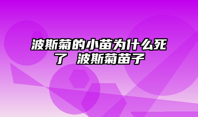 波斯菊的小苗为什么死了 波斯菊苗子