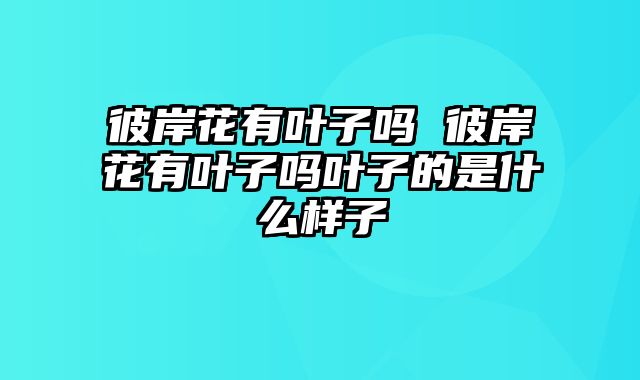 彼岸花有叶子吗 彼岸花有叶子吗叶子的是什么样子