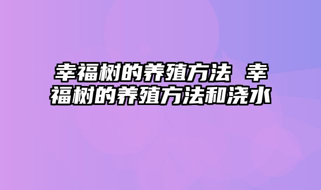 幸福树的养殖方法 幸福树的养殖方法和浇水