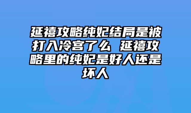 延禧攻略纯妃结局是被打入冷宫了么 延禧攻略里的纯妃是好人还是坏人