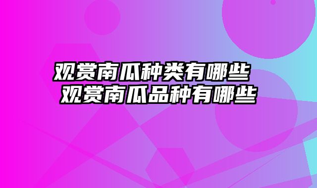 观赏南瓜种类有哪些 观赏南瓜品种有哪些