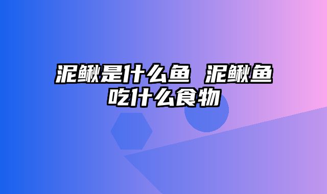 泥鳅是什么鱼 泥鳅鱼吃什么食物