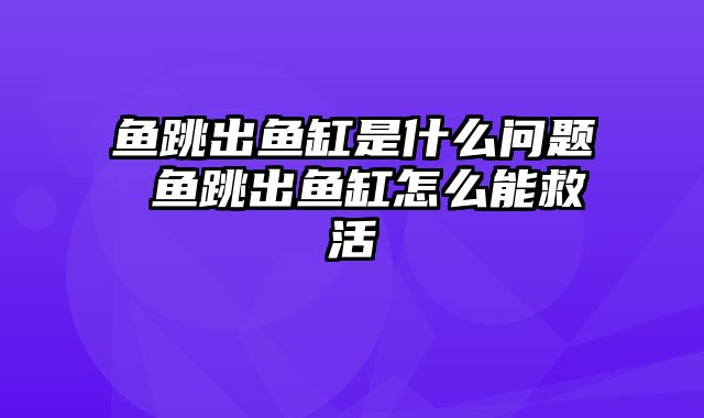 鱼跳出鱼缸是什么问题 鱼跳出鱼缸怎么能救活