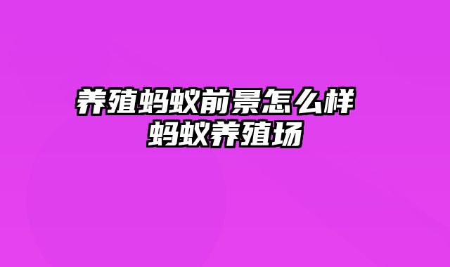 养殖蚂蚁前景怎么样 蚂蚁养殖场