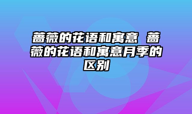 蔷薇的花语和寓意 蔷薇的花语和寓意月季的区别