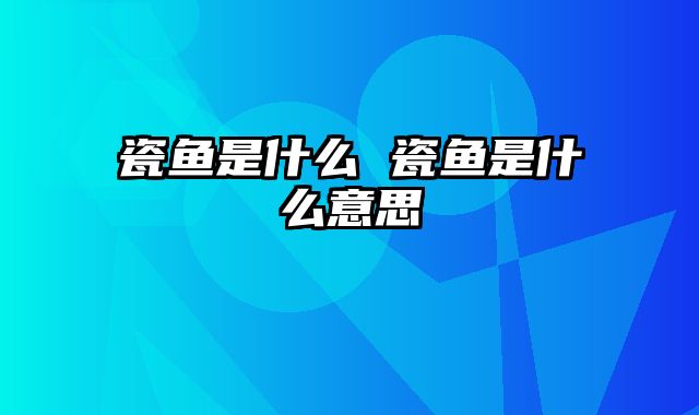 瓷鱼是什么 瓷鱼是什么意思