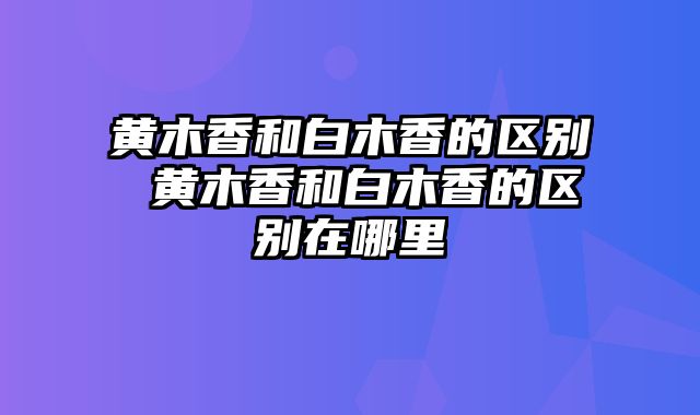 黄木香和白木香的区别 黄木香和白木香的区别在哪里