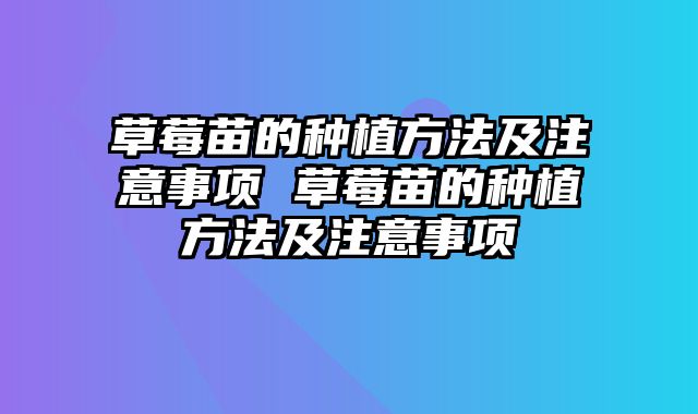 草莓苗的种植方法及注意事项 草莓苗的种植方法及注意事项