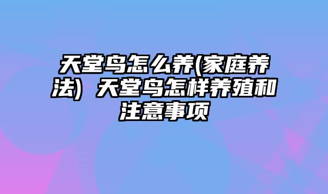 天堂鸟怎么养(家庭养法) 天堂鸟怎样养殖和注意事项