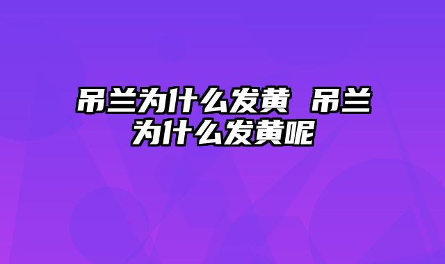 吊兰为什么发黄 吊兰为什么发黄呢