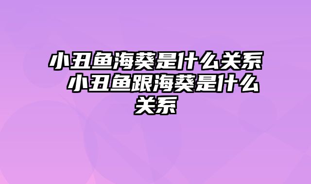 小丑鱼海葵是什么关系 小丑鱼跟海葵是什么关系