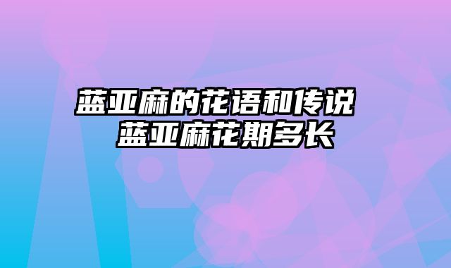 蓝亚麻的花语和传说 蓝亚麻花期多长