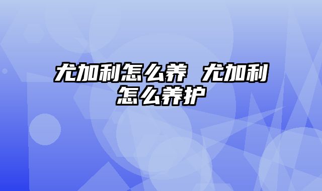 尤加利怎么养 尤加利怎么养护 