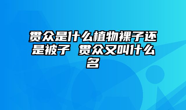 贯众是什么植物裸子还是被子 贯众又叫什么名