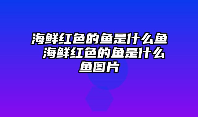 海鲜红色的鱼是什么鱼 海鲜红色的鱼是什么鱼图片