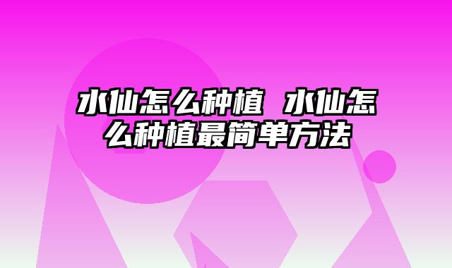 水仙怎么种植 水仙怎么种植最简单方法