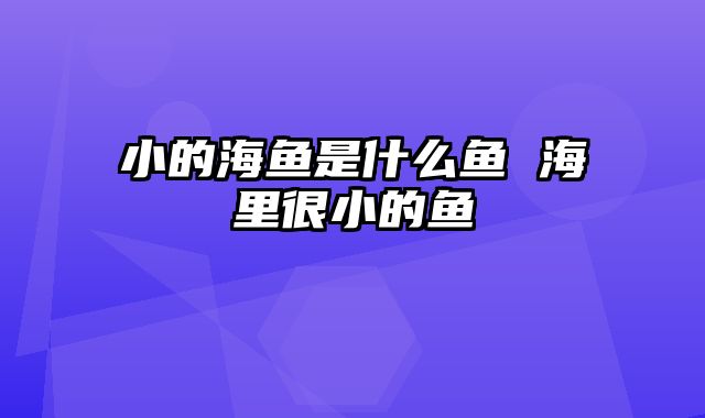 小的海鱼是什么鱼 海里很小的鱼