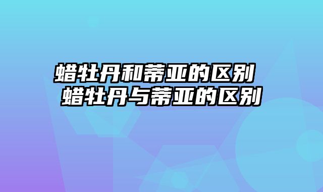 蜡牡丹和蒂亚的区别 蜡牡丹与蒂亚的区别