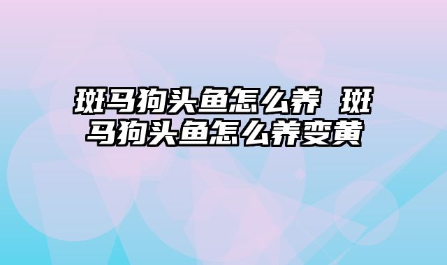 斑马狗头鱼怎么养 斑马狗头鱼怎么养变黄